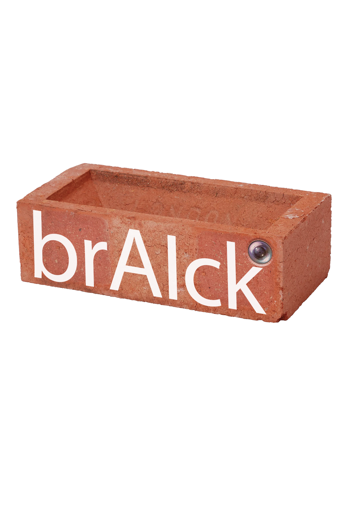 brAIck