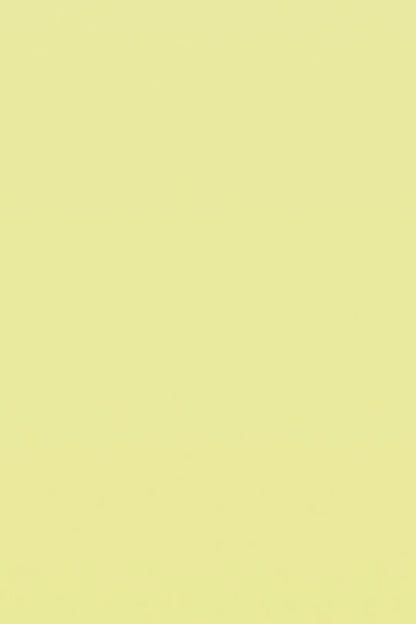 Donut Squad 2: Make a Mess!